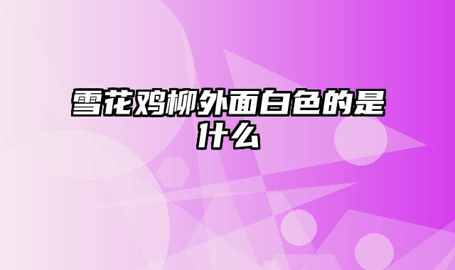 雪花鸡柳外面白色的是什么