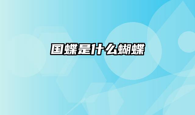 国蝶是什么蝴蝶
