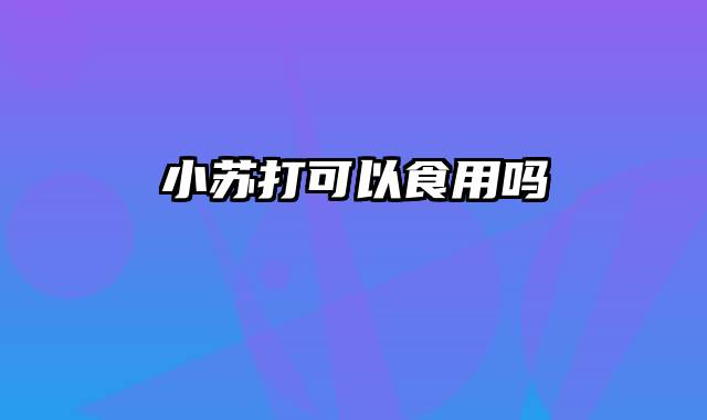 小苏打可以食用吗