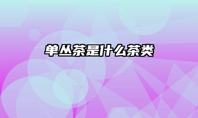 单丛茶是什么茶类