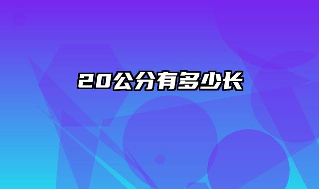 20公分有多少长