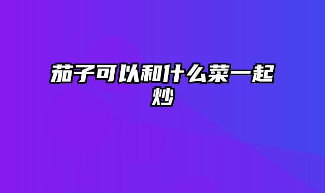 茄子可以和什么菜一起炒