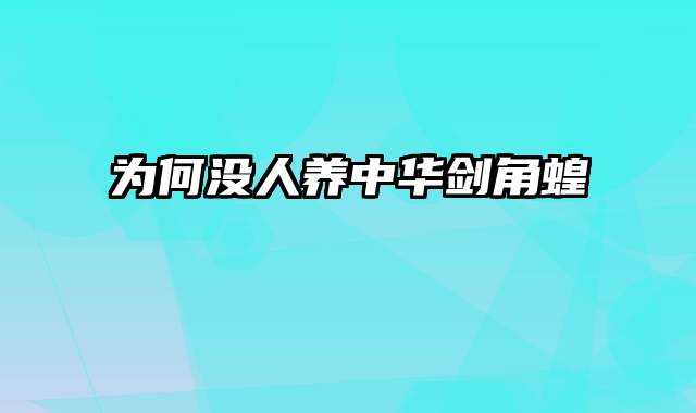 为何没人养中华剑角蝗