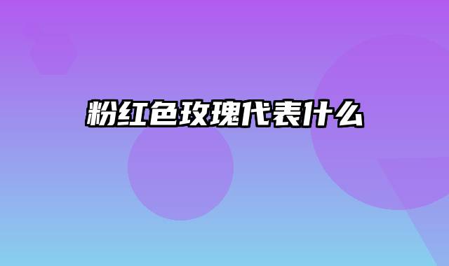 粉红色玫瑰代表什么
