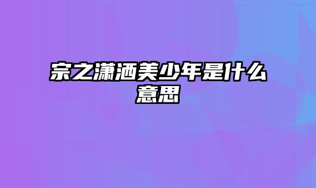 宗之潇洒美少年是什么意思