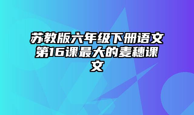 苏教版六年级下册语文第16课最大的麦穗课文