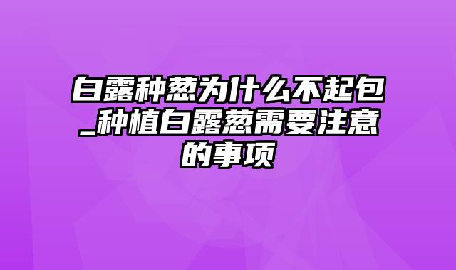 白露种葱为什么不起包_种植白露葱需要注意的事项