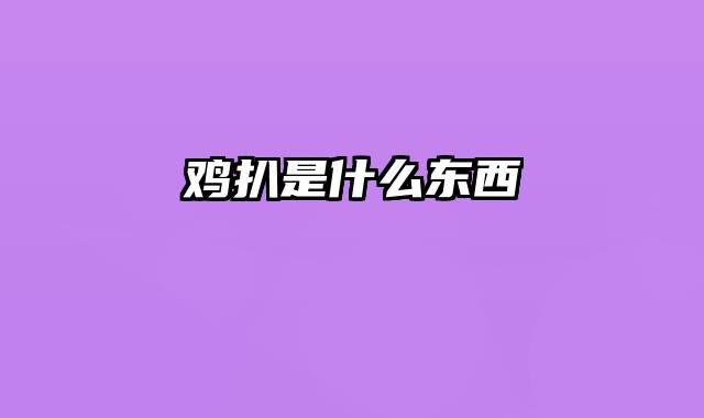 鸡扒是什么东西