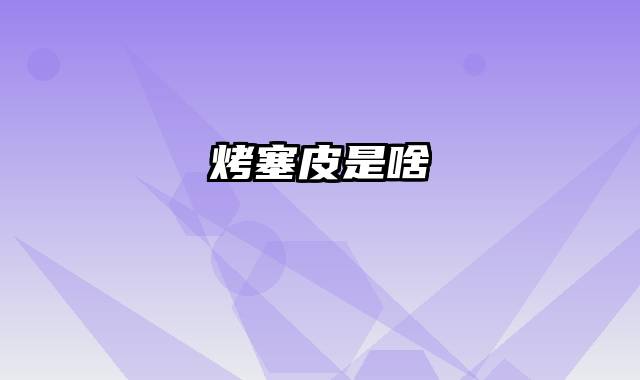 烤塞皮是啥
