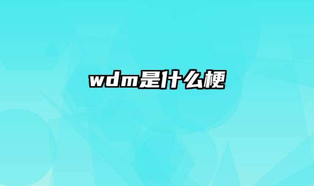 wdm是什么梗