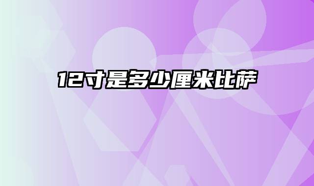 12寸是多少厘米比萨
