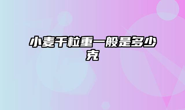 小麦千粒重一般是多少克