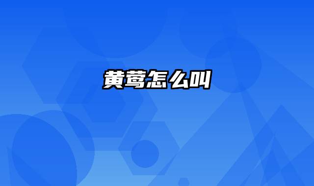 黄莺怎么叫