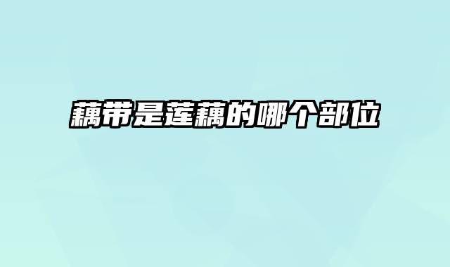 藕带是莲藕的哪个部位