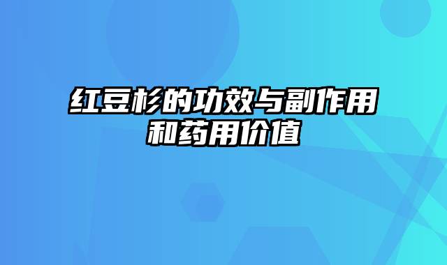 红豆杉的功效与副作用和药用价值