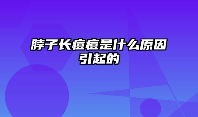 脖子长痘痘是什么原因引起的
