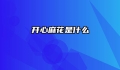 开心麻花是什么