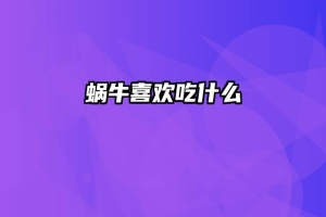 蜗牛喜欢吃什么