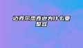 迈克尔杰克逊为什么要整容