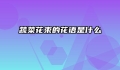 蔬菜花束的花语是什么
