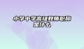 小学中学高级教师职称是什么
