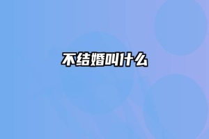 不结婚叫什么