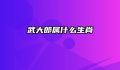 武大郎属什么生肖