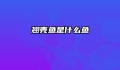 翘壳鱼是什么鱼