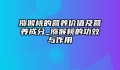 猕猴桃的营养价值及营养成分_猕猴桃的功效与作用
