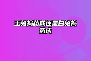 玉兔捣药成还是白兔捣药成