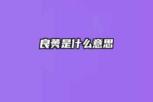 良莠是什么意思