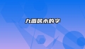九画属木的字