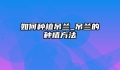 如何种植吊兰_吊兰的种植方法
