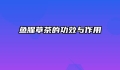 鱼腥草茶的功效与作用