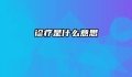 诊疗是什么意思