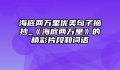 海底两万里优美句子摘抄_《海底两万里》的精彩片段和词语