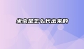 米虫是怎么长出来的