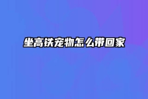 坐高铁宠物怎么带回家