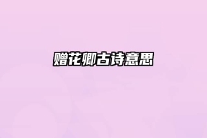 赠花卿古诗意思