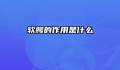 软腭的作用是什么