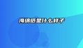 海绵纸是什么样子