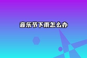 音乐节下雨怎么办
