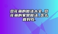 豆花鱼的做法大全_豆花鱼的家常做法_怎么做好吃.