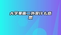 大学里面二外是什么意思