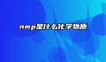 nmp是什么化学物质