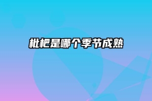 枇杷是哪个季节成熟