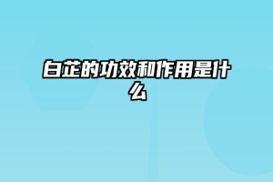 白芷的功效和作用是什么