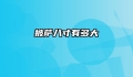 披萨八寸有多大
