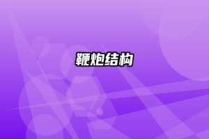 鞭炮结构