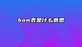 bom表是什么意思